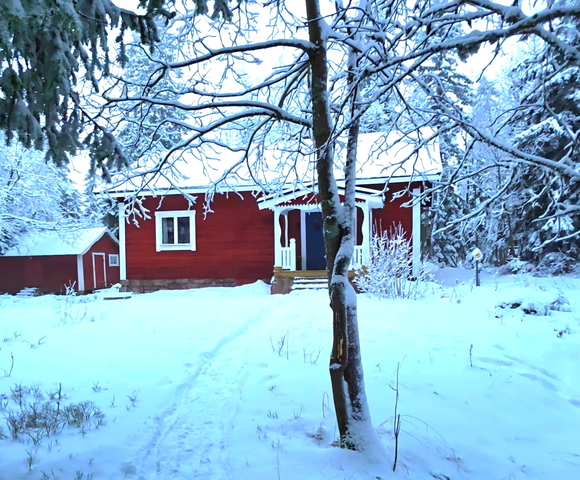 Vår röda fjällstuga i vinterskrud med snötäckta träd